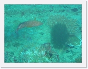 E110173 * 614 x 461 * (61KB)