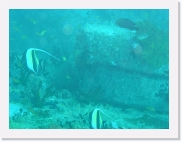 E110181 * 614 x 461 * (48KB)