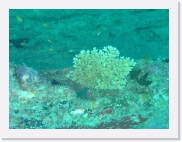 E110183 * 614 x 461 * (66KB)