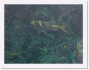 E110188 * 614 x 461 * (36KB)