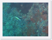 E110190 * 614 x 461 * (50KB)