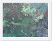 E110195 * 614 x 461 * (61KB)