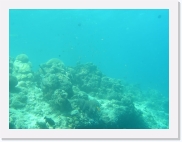 E110198 * 614 x 461 * (54KB)