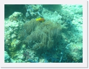 E110200 * 614 x 461 * (79KB)