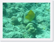 E110203 * 614 x 461 * (79KB)