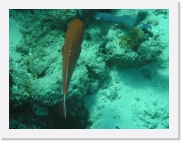 E110204 * 614 x 461 * (67KB)