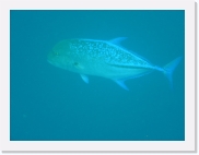 E110205 * 614 x 461 * (24KB)