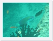 E110207 * 614 x 461 * (61KB)