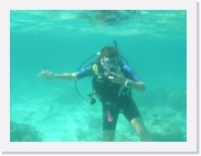 E110210 * 614 x 461 * (53KB)