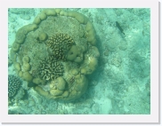 E110211 * 614 x 461 * (74KB)