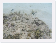 E110225 * 614 x 461 * (58KB)