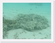 E110229 * 614 x 461 * (50KB)