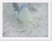 E110237 * 614 x 461 * (53KB)