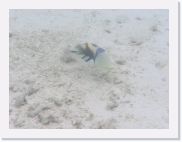 E110240 * 614 x 461 * (54KB)