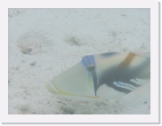 E110241 * 614 x 461 * (51KB)