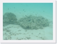 E110245 * 614 x 461 * (46KB)