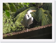 O1010072 * 614 x 461 * (77KB)