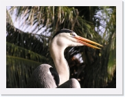 O1010074 * 614 x 461 * (72KB)