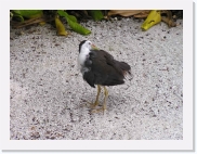 O1010080 * 614 x 461 * (49KB)