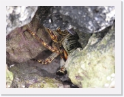 O1010104 * 614 x 461 * (69KB)