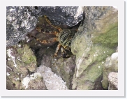 O1010111 * 614 x 461 * (83KB)