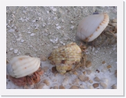 O110124 * 614 x 461 * (64KB)