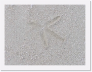 O110250 * 614 x 461 * (57KB)