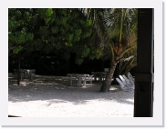 P010021 * 614 x 461 * (64KB)