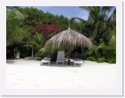 P1010018 * 614 x 461 * (68KB)