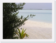 P1010067 * 614 x 461 * (64KB)