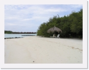 P1010098 * 614 x 461 * (49KB)