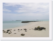 P1010101 * 614 x 461 * (46KB)