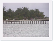 P1010182 * 614 x 461 * (56KB)