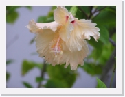 P1010275 * 614 x 461 * (44KB)