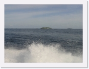 P1010291 * 614 x 461 * (43KB)