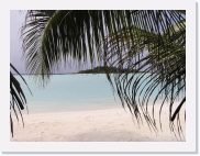 P110061 * 614 x 461 * (80KB)