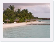 P110082 * 614 x 461 * (60KB)