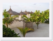 P110084 * 614 x 461 * (67KB)