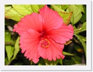 P110087 * 614 x 461 * (58KB)