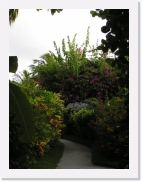 P110093 * 461 x 614 * (70KB)