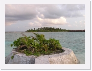 P110103 * 614 x 461 * (59KB)