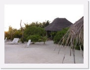 P110106 * 614 x 461 * (51KB)