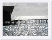 P110146 * 614 x 461 * (68KB)