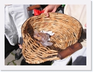 P1010016 * 614 x 461 * (81KB)