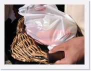 P1010025 * 614 x 461 * (68KB)