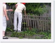 P1010093 * 614 x 461 * (76KB)