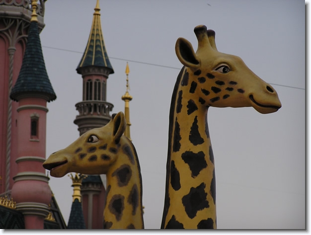 Diapositive suivante