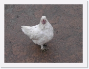 P1010040 * 614 x 461 * (52KB)