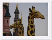 P1010064 * 614 x 461 * (52KB)