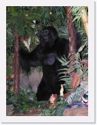 P1010066 * 461 x 614 * (69KB)